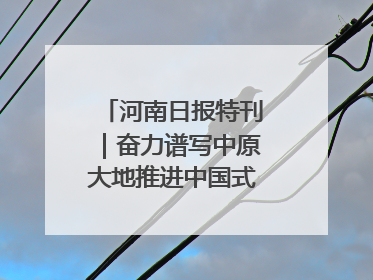 河南日报特刊｜奋力谱写中原大地推进中国式现代化新篇章